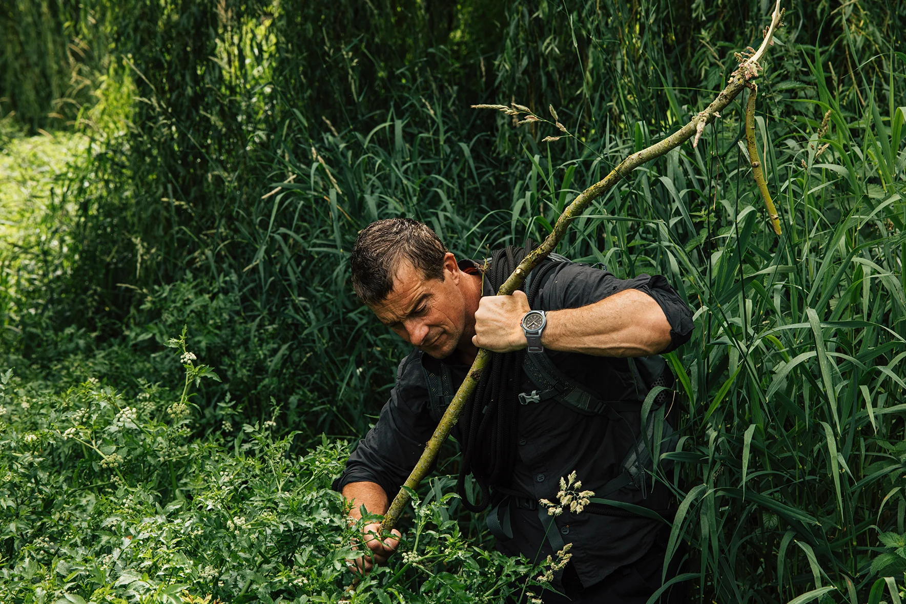 Bear Grylls SURVIVAL, 43MM - 3716 - Image 8