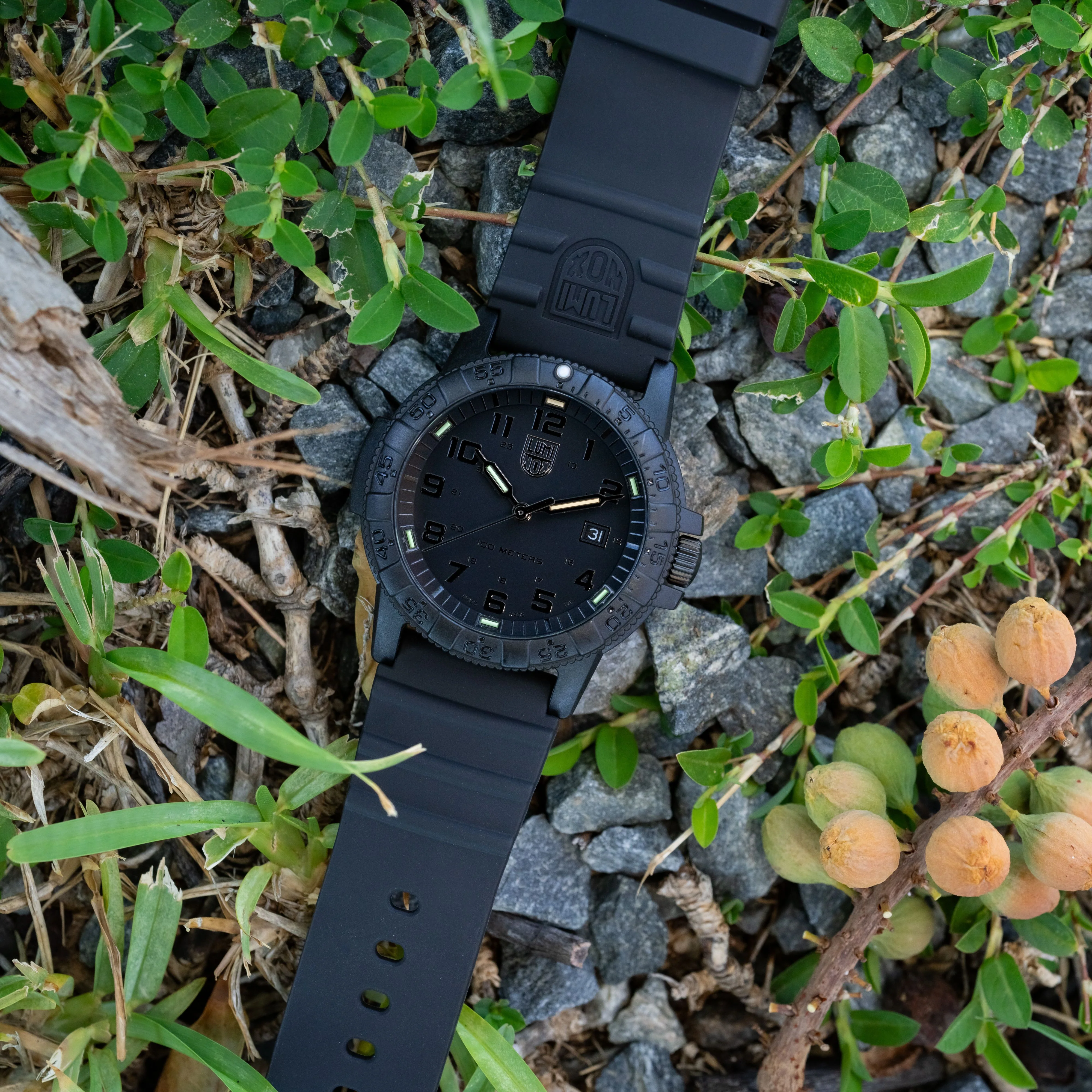 Leatherback SEA Turtle Giant, 44MM - 0321.BO.L - Image 5