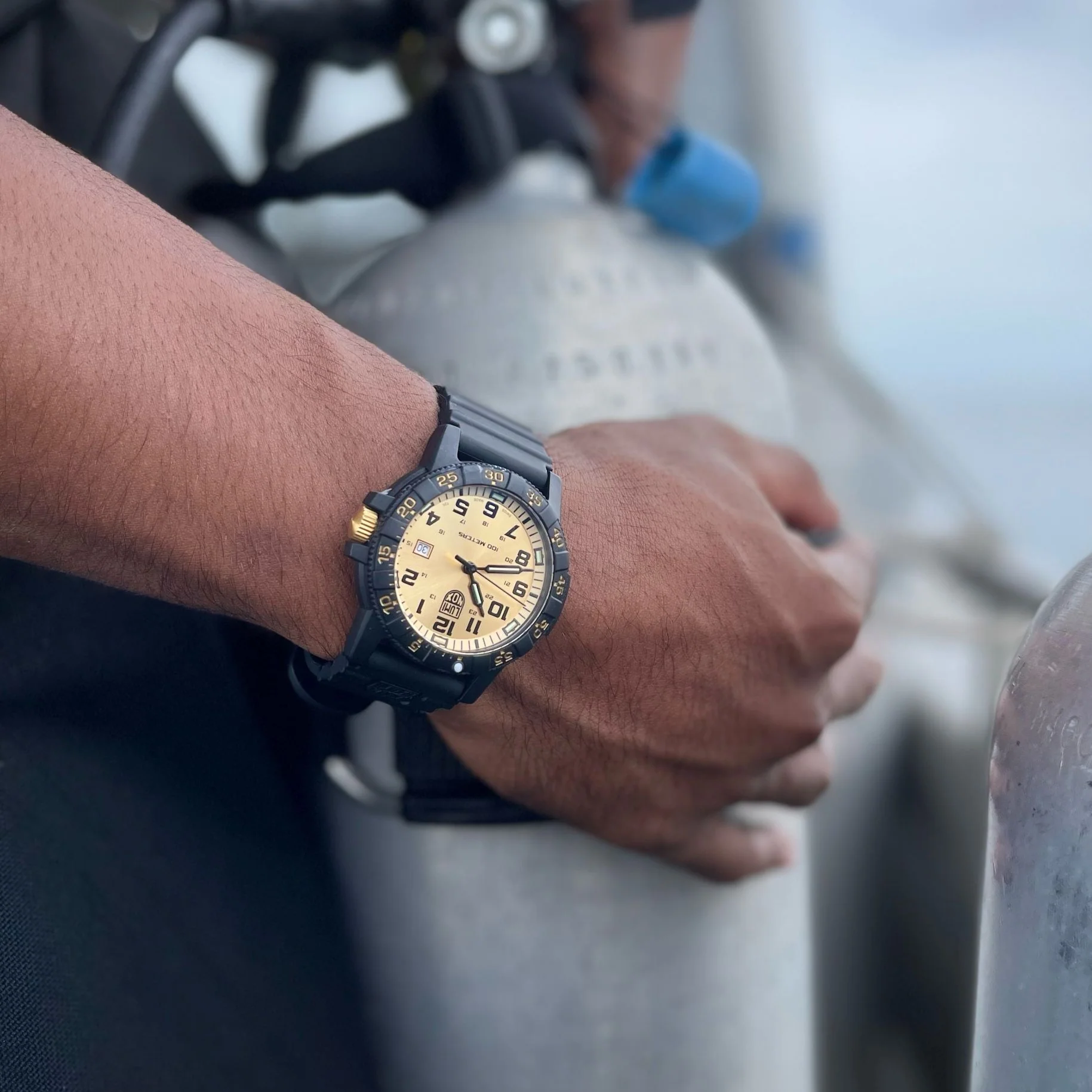 Leatherback SEA Turtle Giant, 44MM - 0325.GP - Image 3