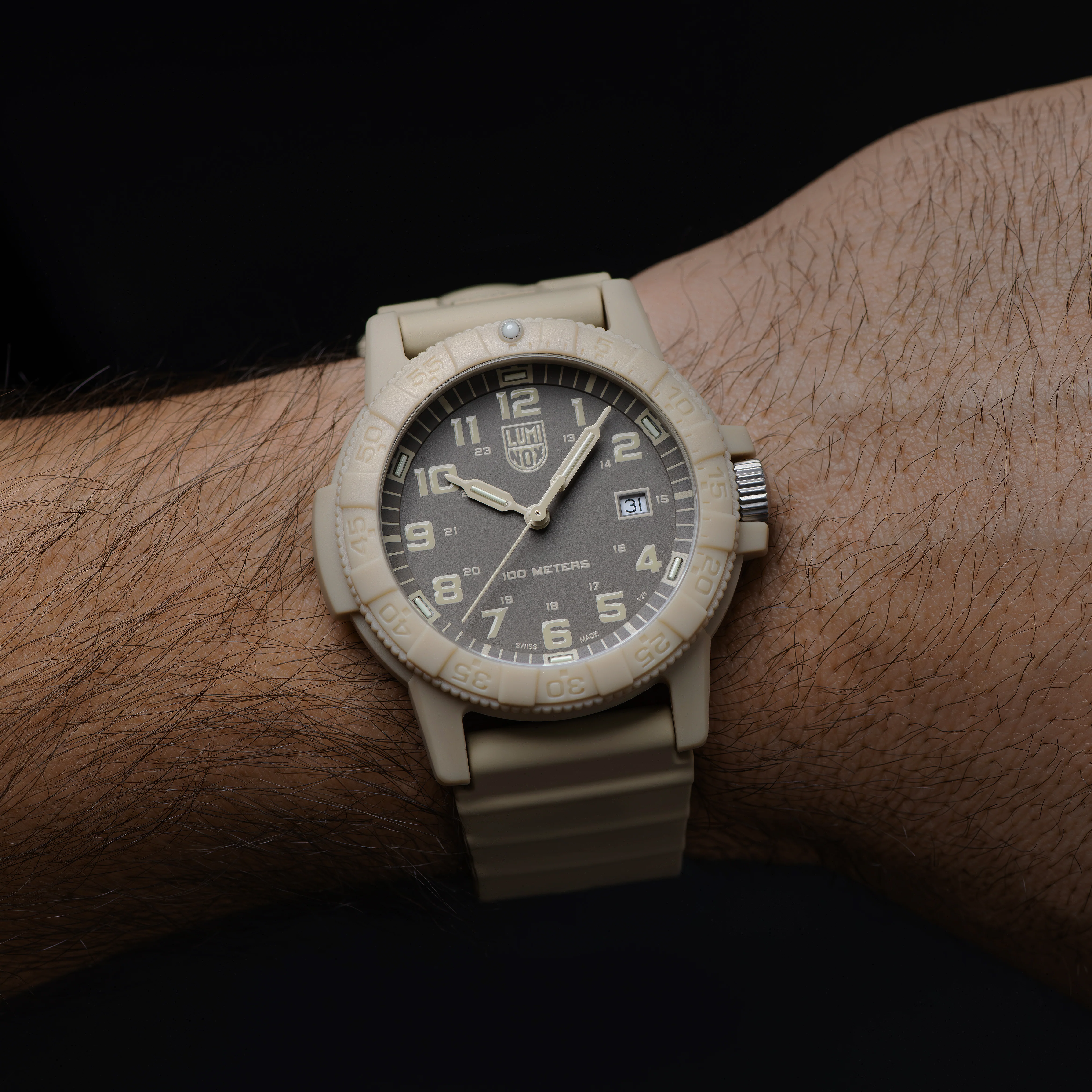 Leatherback SEA Turtle Giant, 44MM - 0326 - Image 3